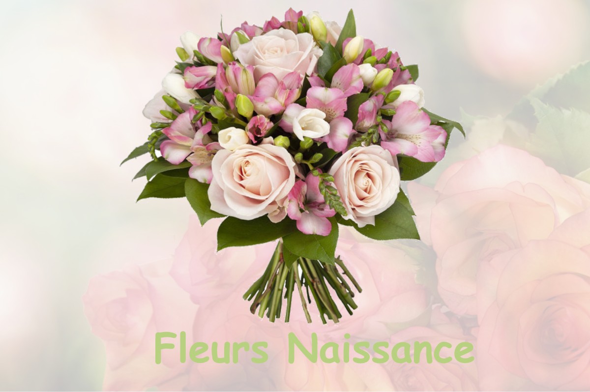 fleurs naissance BUCY-SAINT-LIPHARD