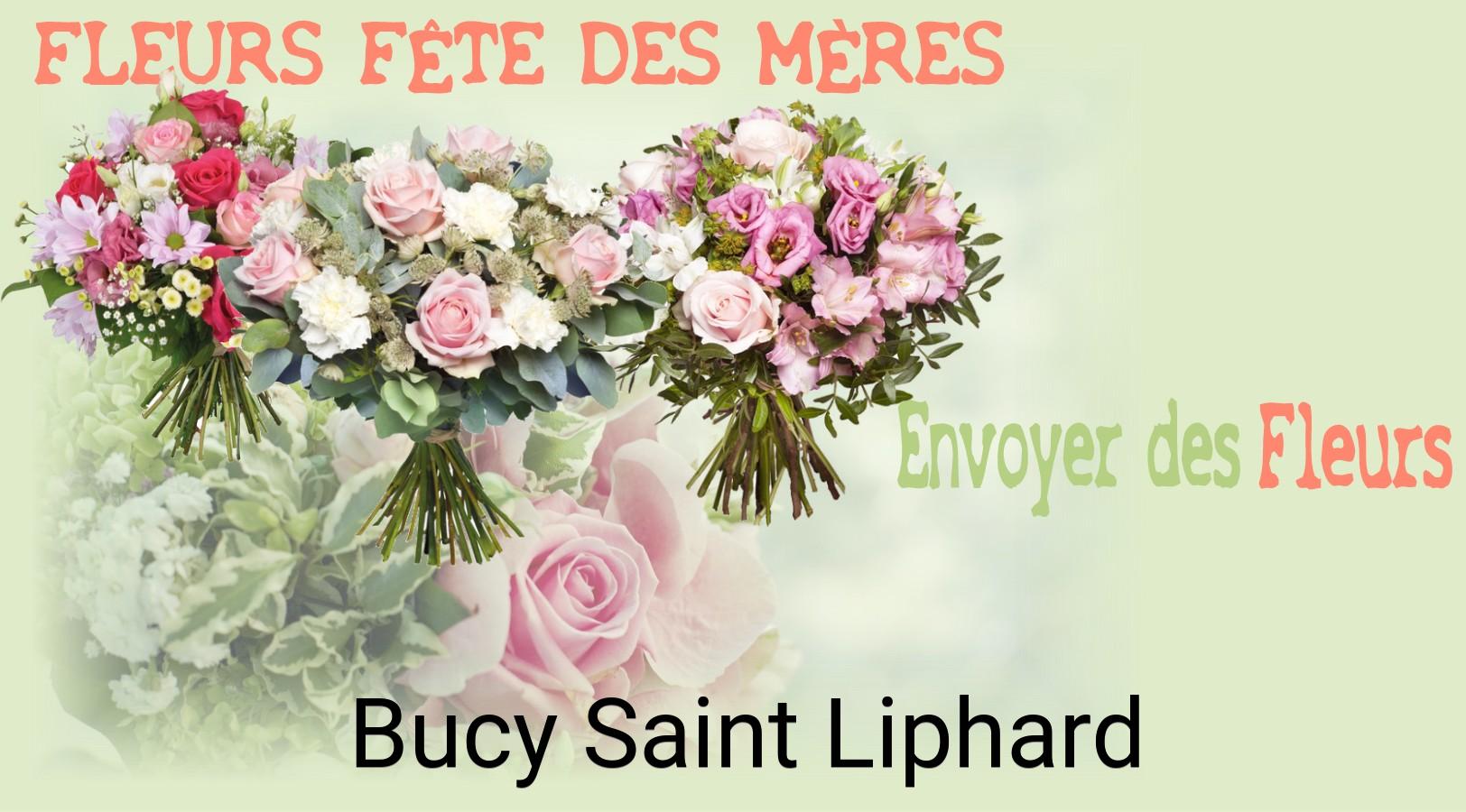 Bouquet de Fête des Mères livré à Bucy-Saint-Liphard
